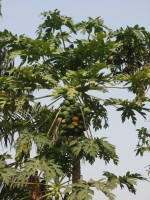 /album/galerie-photos/a15-12-20-21-230-jpg/